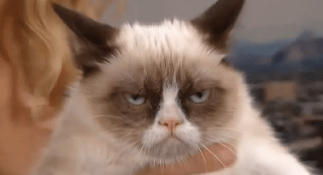 Screen shot from http://youtu.be/Xvx3R-SRXiY