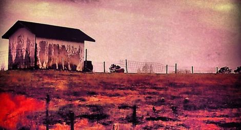 Scenes from the road (Image courtesy of Ancient River)