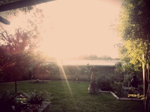 Garden Hideaway in Austin