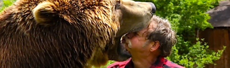 Bear scared of Justin Bieber's music